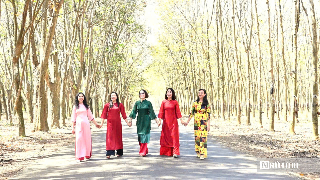 Ngắm bức tranh thiên nhiên đầy chất điện ảnh của rừng cao su mùa thay lá- Ảnh 6.