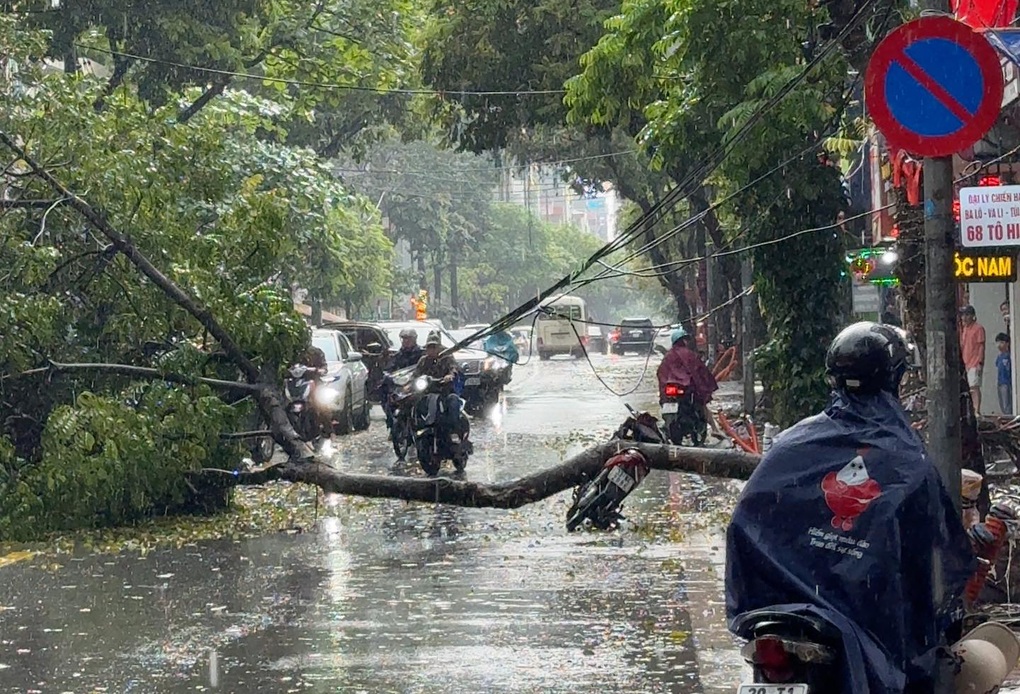 Hà Nội: Đang lưu thông trên phố, nam tài xế bất ngờ bị cây xanh bật gốc đè trúng phải nhập viện cấp cứu- Ảnh 2.