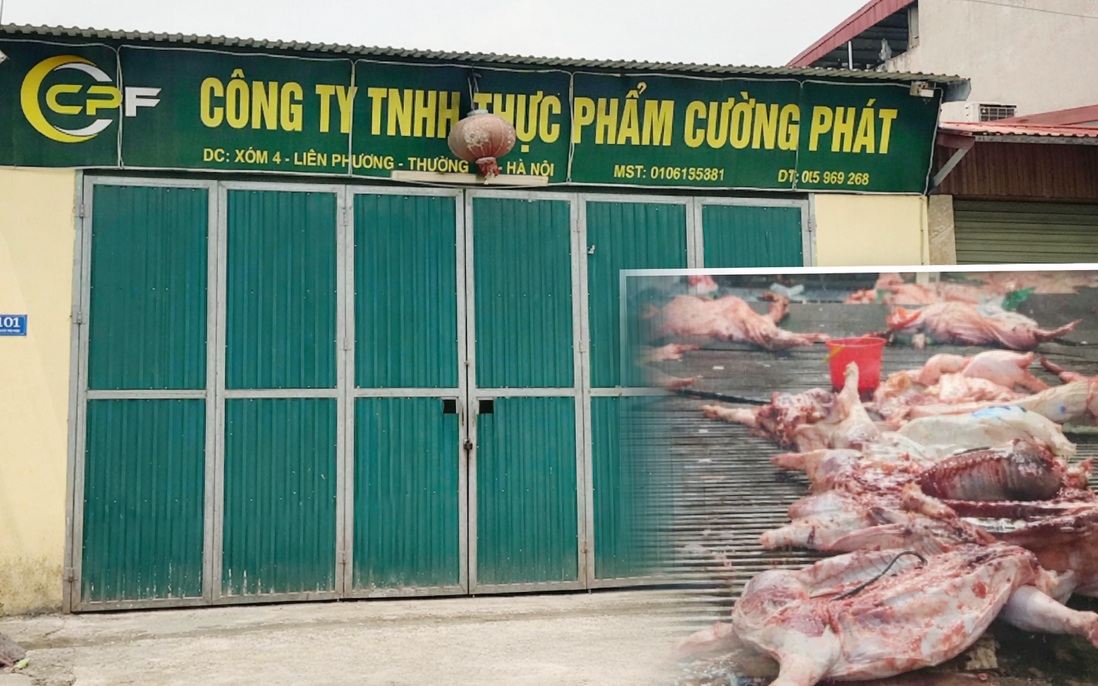 THỰC PHẨM BẨN, CHUYỆN KHÔNG CHỈ Ở NHÀ TRƯỜNG...- Ảnh 1.