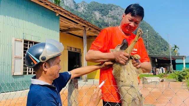 Đẩy mạnh phòng, chống bệnh dại có nguy cơ tăng cao mùa nắng nóng- Ảnh 2.